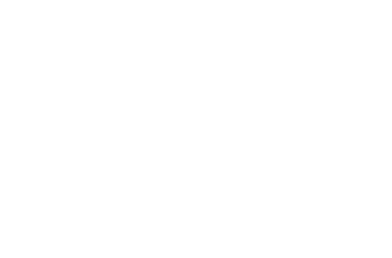 Logo Omnicoaching
